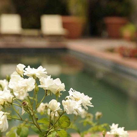 Montagu Country Hotel Exterior photo