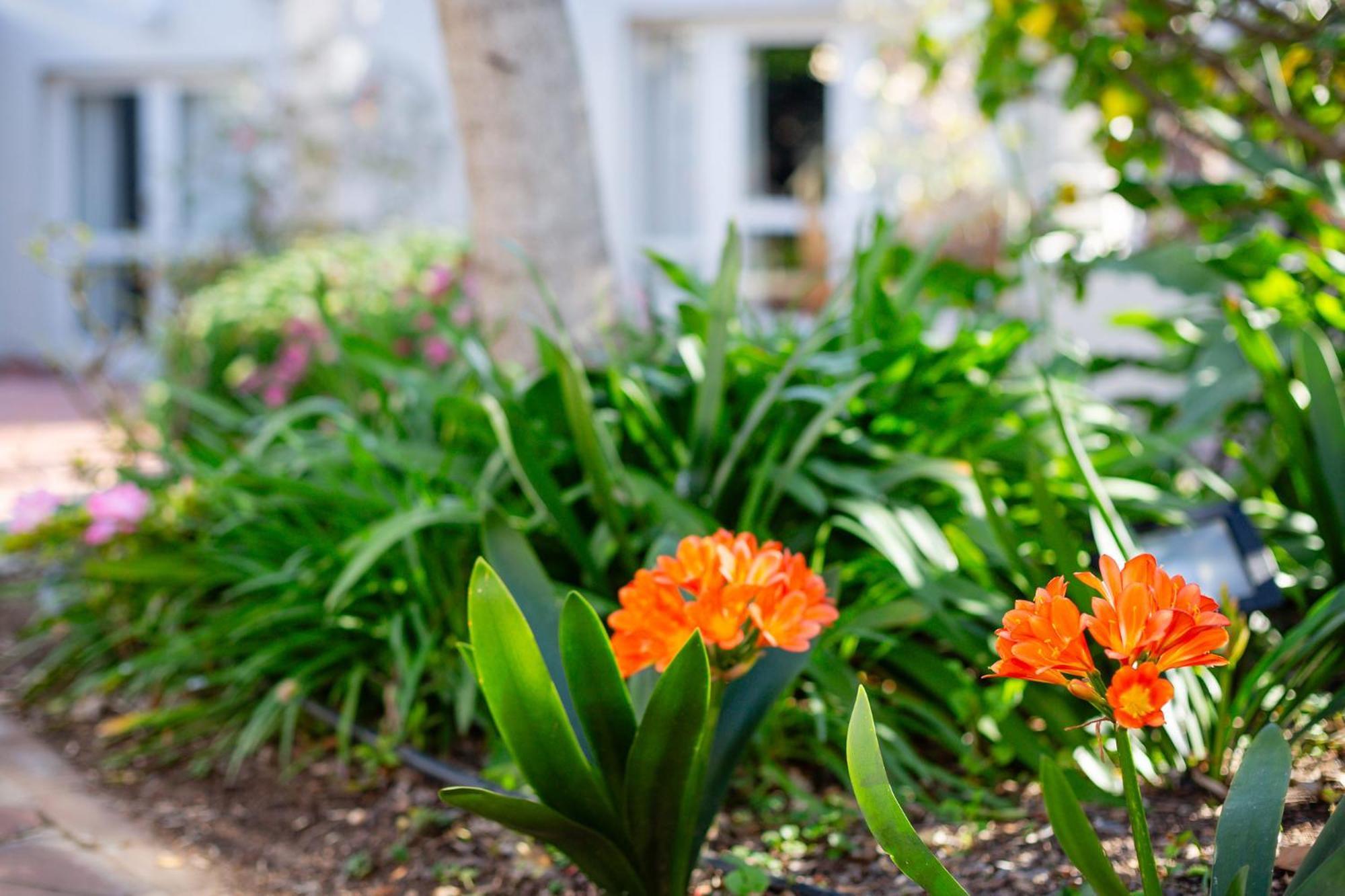 Montagu Country Hotel Exterior photo